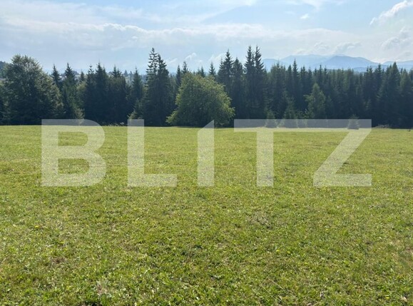 Teren de vânzare Exterior Vest - 185043TV | BLITZ Suceava | Poza12