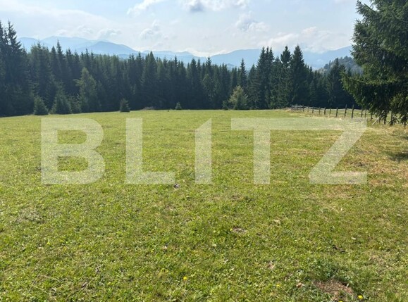 Teren de vânzare Exterior Vest - 185043TV | BLITZ Suceava | Poza13