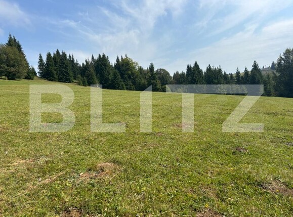 Teren de vânzare Exterior Vest - 185043TV | BLITZ Suceava | Poza15