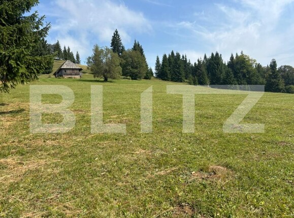 Teren de vânzare Exterior Vest - 185043TV | BLITZ Suceava | Poza9