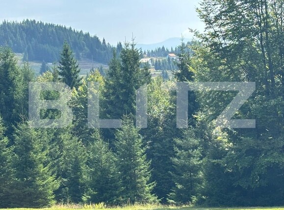 Teren de vânzare Exterior Vest - 185043TV | BLITZ Suceava | Poza6