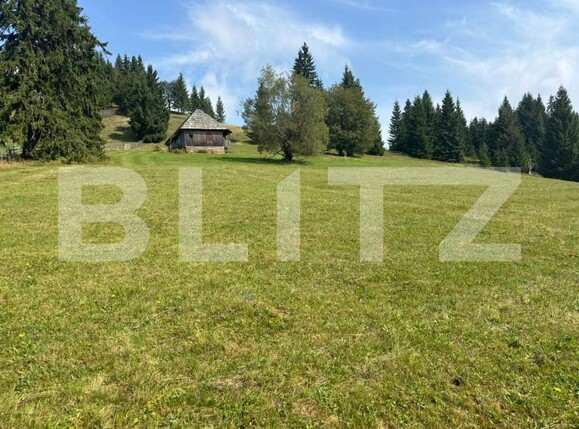 Teren de vânzare Exterior Vest - 185043TV | BLITZ Suceava | Poza16