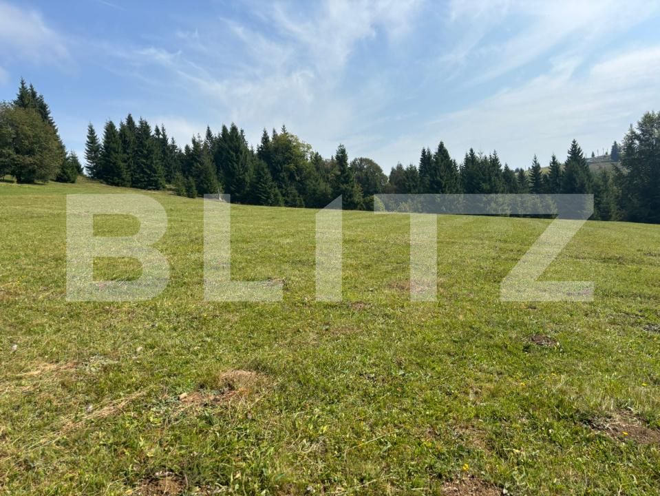 Teren de vânzare Exterior Vest - 185043TV | BLITZ Suceava | Poza15