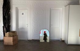 Spatiu multifunctional, 560 mp, Malini