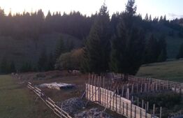 Teren extravilan de vanzare, 2400 mp, Dealul Floreni, Vatra Dornei
