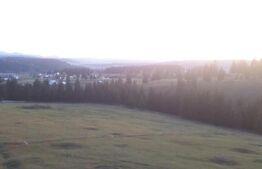 Teren de vanzare, 2400 mp, Dealul Floreni, Vatra Dornei