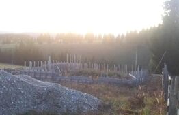 Teren de vanzare, 2400 mp, Dealul Floreni, Vatra Dornei