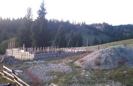 Teren extravilan de vanzare, 2400 mp, Dealul Floreni, Vatra Dornei