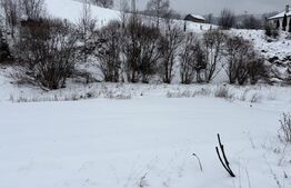 Teren intravilan de vanzare, 8163 mp - Vatra Dornei