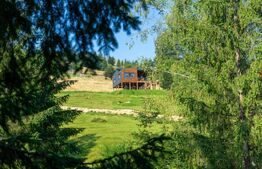 Cabana Tiny House, cu 2 ha teren intravilan, în Bucovina, Moldovita