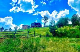 Cabana Tiny House, cu 2 ha teren intravilan, în Bucovina, Moldovita