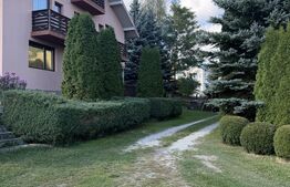 Vilă 400 mp + 3600 mp teren,  Dorna Candrenilor