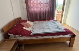 Vilă 400 mp + 3600 mp teren,  Dorna Candrenilor
