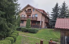 Spațiu comercial de vânzare Burdujeni - 131453SVC | BLITZ Suceava | Poza1