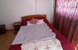 Vilă 400 mp + 3600 mp teren,  Dorna Candrenilor