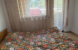 Vilă 400 mp + 3600 mp teren,  Dorna Candrenilor