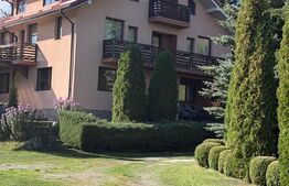 Vilă 400 mp + 3600 mp teren,  Dorna Candrenilor