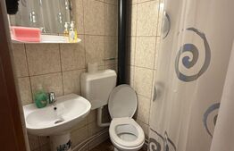 Vilă 400 mp + 3600 mp teren,  Dorna Candrenilor