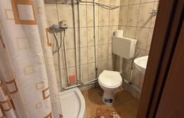 Vilă 400 mp + 3600 mp teren,  Dorna Candrenilor