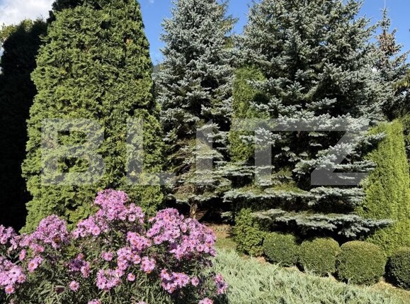 Spațiu comercial de vânzare Exterior Vest - 185640SVC | BLITZ Suceava | Poza7