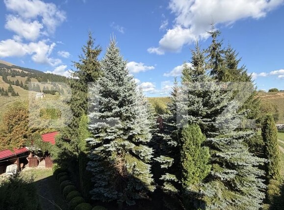 Spațiu comercial de vânzare Exterior Vest - 185640SVC | BLITZ Suceava | Poza10