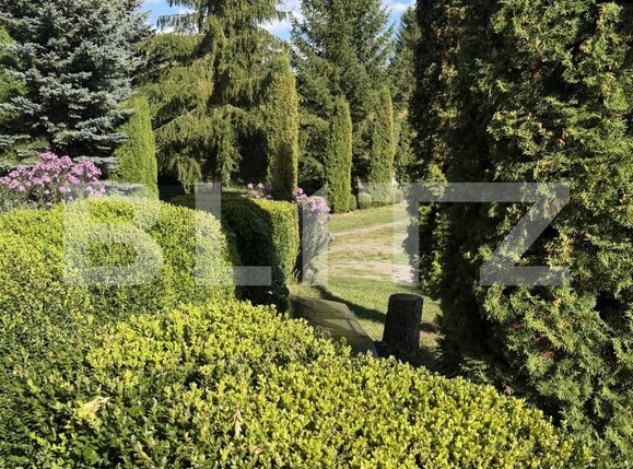 Spațiu comercial de vânzare Exterior Vest - 185640SVC | BLITZ Suceava | Poza2