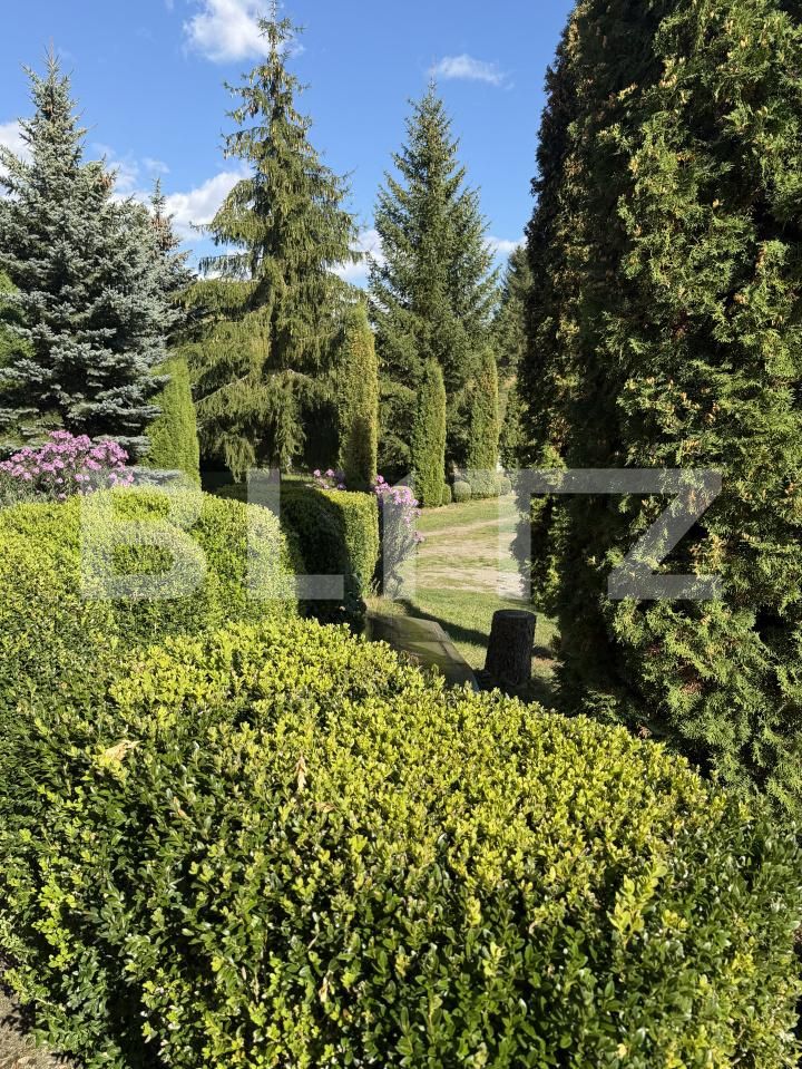 Spațiu comercial de vânzare Exterior Vest - 185640SVC | BLITZ Suceava | Poza2