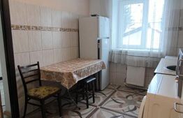 Garsoniera de inchiriat, 25mp, etaj 1, zona Burdujeni Gara.