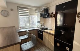 Apartament de inchiriat cu 2 camere, 60 mp, Ultracentral