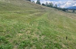 Teren ideal pentru investiție, Șaru Dornei, 36.000 mp