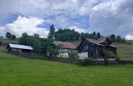 Teren ideal pentru investiție, Șaru Dornei, 36.000 mp