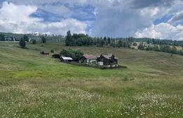 Teren INTRAVILAN, ideal pentru investiție, Șaru Dornei, 36.000 mp