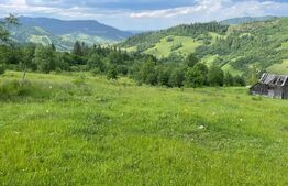 Teren extravilan de vanzare, 2 ha - Campulung Moldovenesc, zona Sandru