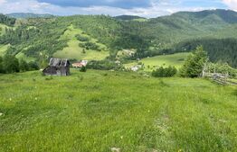 Teren extravilan de vanzare, 2 ha - Campulung Moldovenesc, zona Sandru