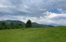 Teren extravilan de vanzare, 2 ha - Campulung Moldovenesc, zona Sandru