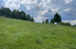 Teren de vanzare, 2 ha - Campulung Moldovenesc, zona Sandru