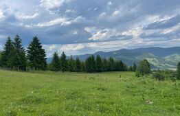 Teren extravilan de vanzare, 2 ha - Campulung Moldovenesc, zona Sandru