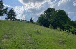 Teren extravilan de vanzare, 2 ha - Campulung Moldovenesc, zona Sandru