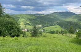 Teren extravilan de vanzare, 2 ha - Campulung Moldovenesc, zona Sandru