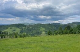 Teren extravilan de vanzare, 2 ha - Campulung Moldovenesc, zona Sandru