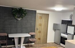 Micro-Apartament, 35 mp, etaj 1 - Suceava