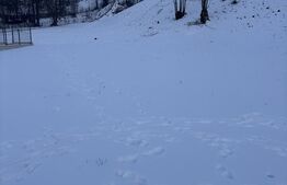 Teren de vânzare, 6000 mp + o casă bătrânească, în Voroneț