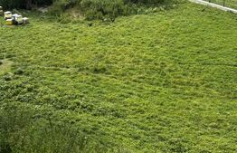 Teren intravilan de vânzare, 6500mp + o casă bătrânească, în Voroneț