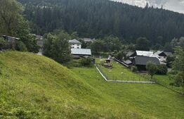 Teren intravilan de vânzare, 6500mp + o casă bătrânească, în Voroneț