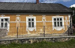 Teren intravilan de vânzare, 6500mp + o casă bătrânească, în Voroneț