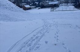 Teren de vânzare Periferie - 180754TV | BLITZ Suceava | Poza1