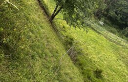 Teren intravilan de vânzare, 6500mp + o casă bătrânească, în Voroneț