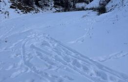 Teren de vânzare, 6000 mp + o casă bătrânească, în Voroneț