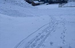 Teren de vânzare, 6000 mp + o casă bătrânească, în Voroneț