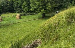 Teren intravilan de vânzare, 6500mp + o casă bătrânească, în Voroneț